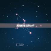 属虎的运程怎么样，属虎未时出生一生命运怎样