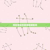 鸡和老鼠的属相能婚配吗，属相婚配鸡与鼠