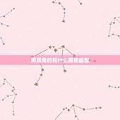 男属兔的和什么属相最配，男属猴和什么属相最配