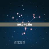汪精卫什么星座，农历1995年10月10是什么星座