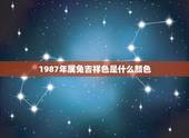 1987年属兔吉祥色是什么颜色，2022 年属马的幸运色是什么颜色