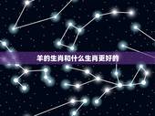 羊的生肖和什么生肖更好的，属龙和什么属相最配