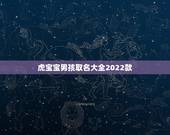 虎宝宝男孩取名大全2022款，属虎的男孩叫什么名字好