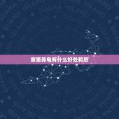 家里养龟有什么好处和忌，家里养乌龟有什么好处