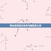 男生肖蛇和女生肖马婚配怎么样，属马和属蛇能婚配吗