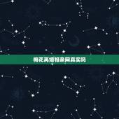 梅花再婚相亲网真实吗，我已经经历过一次失败的婚姻，想再找一位伴侣，最近