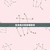 生肖兔分别是哪些年，生肖兔的贵人