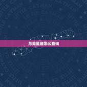 月亮星座怎么查询，月亮星座查询