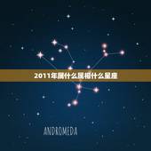 2011年属什么属相什么星座，2011年老虎属什么星座