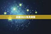 正版2022生肖表图，2022年各生肖运势及运程