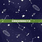 时辰蛇和鸡属相合不合，生肖相冲表