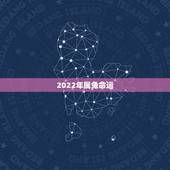 2022年属兔命运，属兔人未来五年运势