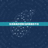 生肖属兔的和属马的属相合不合，属兔的和属马属相是否相配