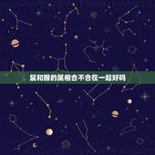 鼠和猴的属相合不合在一起好吗，属龙的和属鼠在一起财运如何