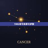1982年今年多大岁数，属马今年多大岁数