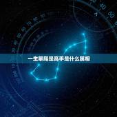 一生攀爬是高手是什么属相，属蛇的贵人是？