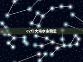 82年大海水命禁忌，1982年属狗是大富大贵的命