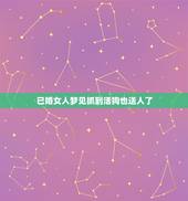 已婚女人梦见抓到活狗也送人了，梦到现实中已经死掉的狗在梦中被送人了