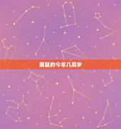 属鼠的今年几周岁 属鼠人2022年财运运势