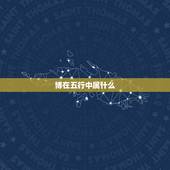 博在五行中属什么，博字五行属什么