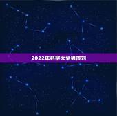 2022年名字大全男孩刘，刘孩子取名字大全