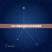 1967年属羊的后半生命运如何，67年属羊53岁有一灾