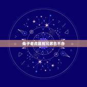 兔子老虎属相兄弟合不合，子鼠、丑牛、寅虎、卯兔、辰龙、已蛇 、午马、未