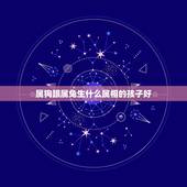 属狗跟属兔生什么属相的孩子好，属狗和属兔生什么属相的宝宝