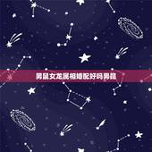 男鼠女龙属相婚配好吗男昆，男鼠女龙相配吗？