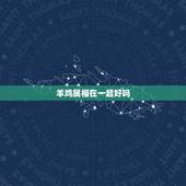 羊鸡属相在一起好吗，羊鸡生什么属相宝宝