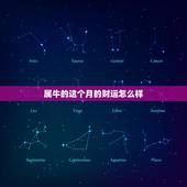 属牛的这个月的财运怎么样，属牛女今天运势，财运和感情方面