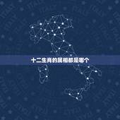 十二生肖的属相都是哪个，十二生肖从大到小分别是什么？