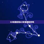 53年属蛇和63年兔婚配好吗，请问63年属兔的与77年属蛇的能婚配吗？