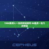 1986属虎人一生的财运如何 86属虎一生几次财运