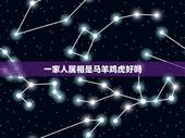 一家人属相是马羊鸡虎好吗，鸡羊虎三个属相什么关系