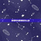 属相鸡与猴婚配怎么样，属猴和属鸡的婚姻相配吗？
