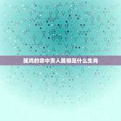 属鸡的命中贵人属相是什么生肖，癸酉年生人的贵人属相是那几个