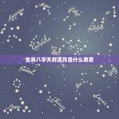生辰八字天府流月是什么意思，天府流月夫妻己丑什么意思