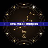 属蛇2021年最旺财的微信头像，属蛇的用什么微信头像，微信名最吉利？