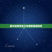 属牛的男青年今年婚配能顺利吗，属牛男人和属龙女人合婚么？
