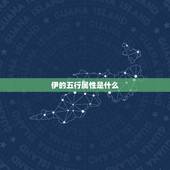 伊的五行属性是什么，伊的五行属性是什么