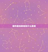 猪的最佳属相是什么属相，属猪的和什么属相好