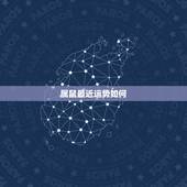 属鼠最近运势如何，84年属鼠生肖一生运势