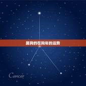 属狗的在狗年的运势，属狗2018年运势
