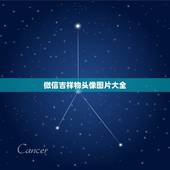 微信吉祥物头像图片大全，做生意的女人用什么微信头像招财