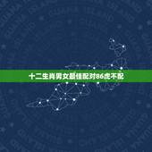 十二生肖男女最佳配对86虎不配，属虎水瓶座的最佳配偶 属虎水瓶座男女和