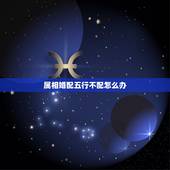 属相婚配五行不配怎么办，属相婚配和五行婚配那个更准一点？请懂行的朋友赐