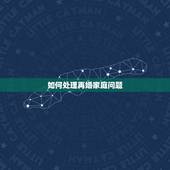 如何处理再婚家庭问题，如何处理再婚家庭的经济问题。
