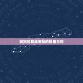 属狗的和属老鼠的属相合吗，属鼠和属狗相配吗？