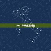 2021年双鱼座婚变，双鱼座2021最终的婚姻归宿落在哪什么星座